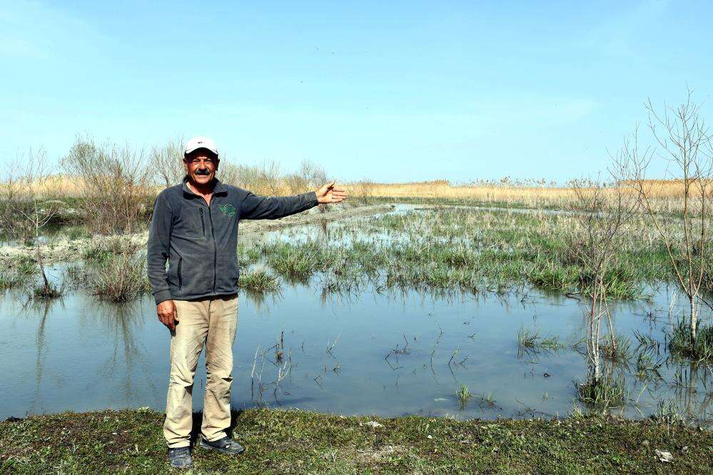 Konya’nın hocasıyla ünlü gölü 8 yıl sonra yeniden can buldu 6